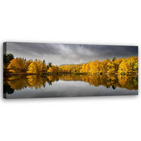 WANDBILD gelbe herbstwald naturlandschaft - Gelb, Textil (90/30cm) - Feeby