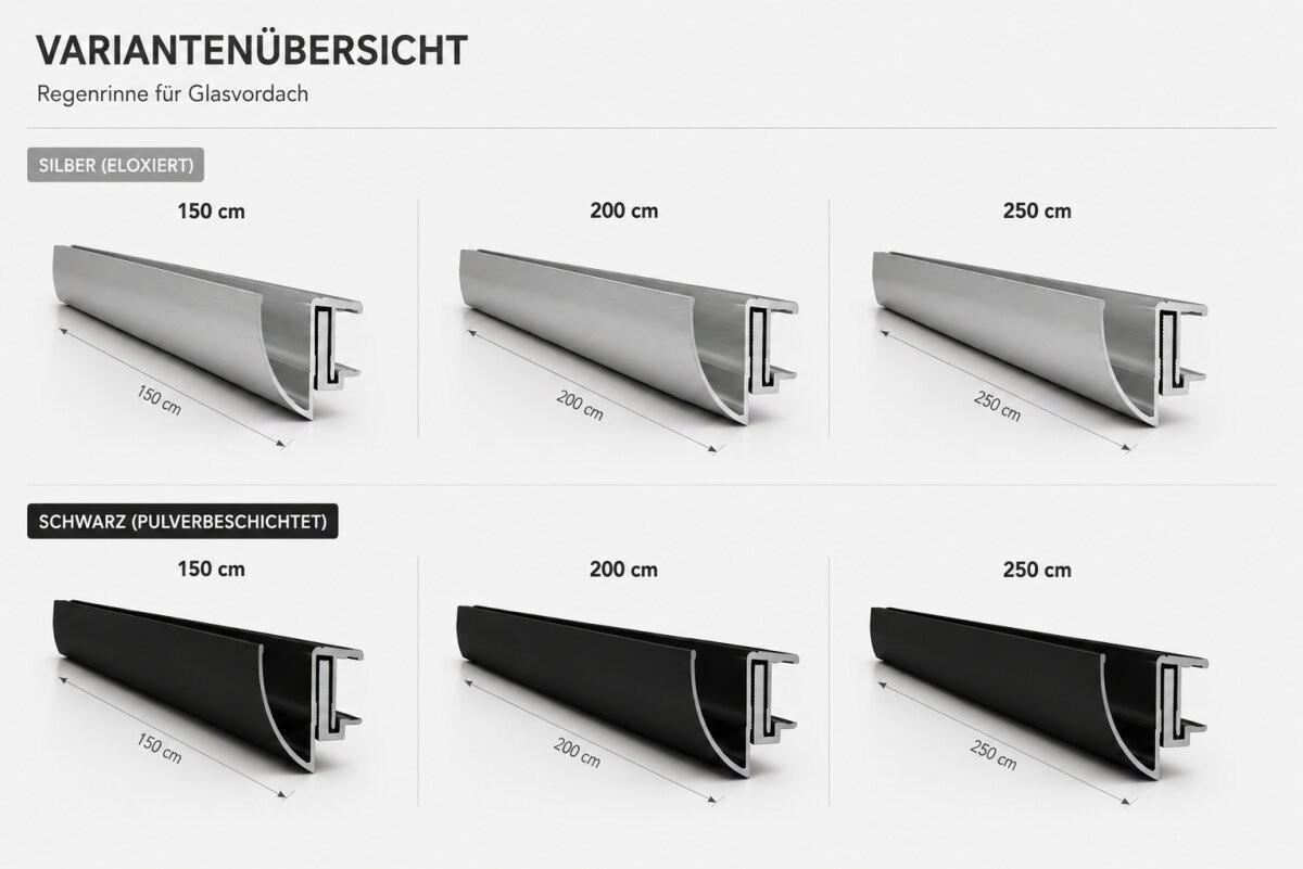 ALUMINIUM-REGENRINNE für Glasvordach 200cm Silber - Silberfarben, Metall (20/5/200cm) -  Glaswerk Westfalen