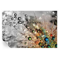 FOTOTAPETE 104x70 cm - Ich Taujuwelen - Weiß, Textil (104/70cm) - Wallfluent