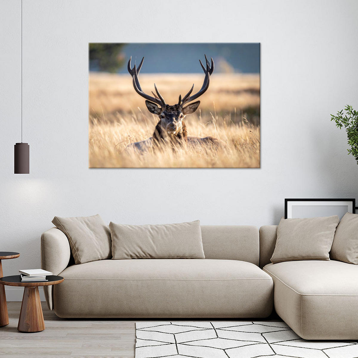 LEINWANDBILD Tiere 120x80cm - Beige, Textil (120/80cm) - Feeby