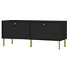 TV-MÖBEL Oktio Schwarz-Graphit 121 cm - Goldfarben/Schwarz, Holzwerkstoff/Metall (121/50/40.8cm) - Selsey
