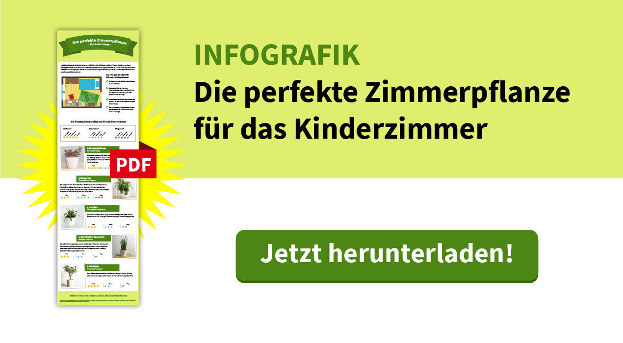 Download Infografik Kinderzimmer, Die passende Pflanze für jedes Zimmer XXXLutz
