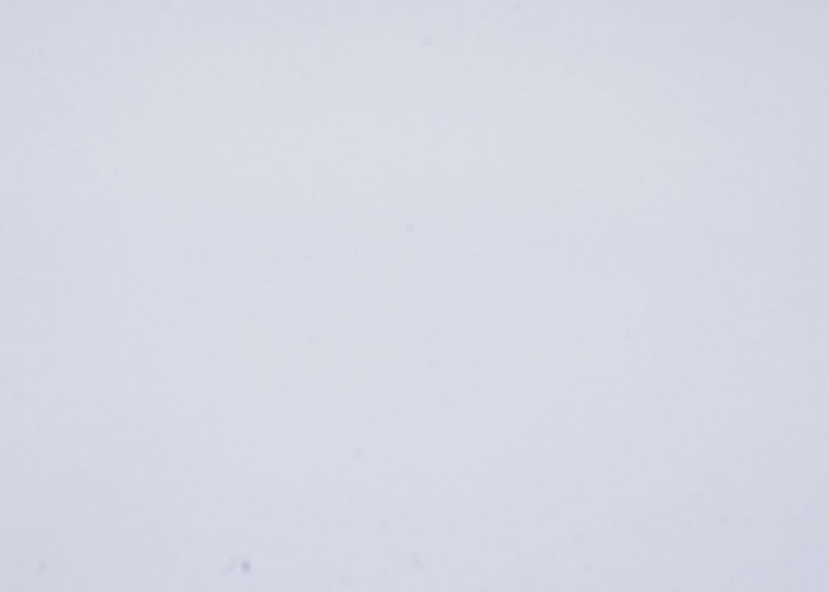 WANDREGAL Weiß, Schwarz - Schwarz/Weiß, Holz (60/60/18cm) - MCW