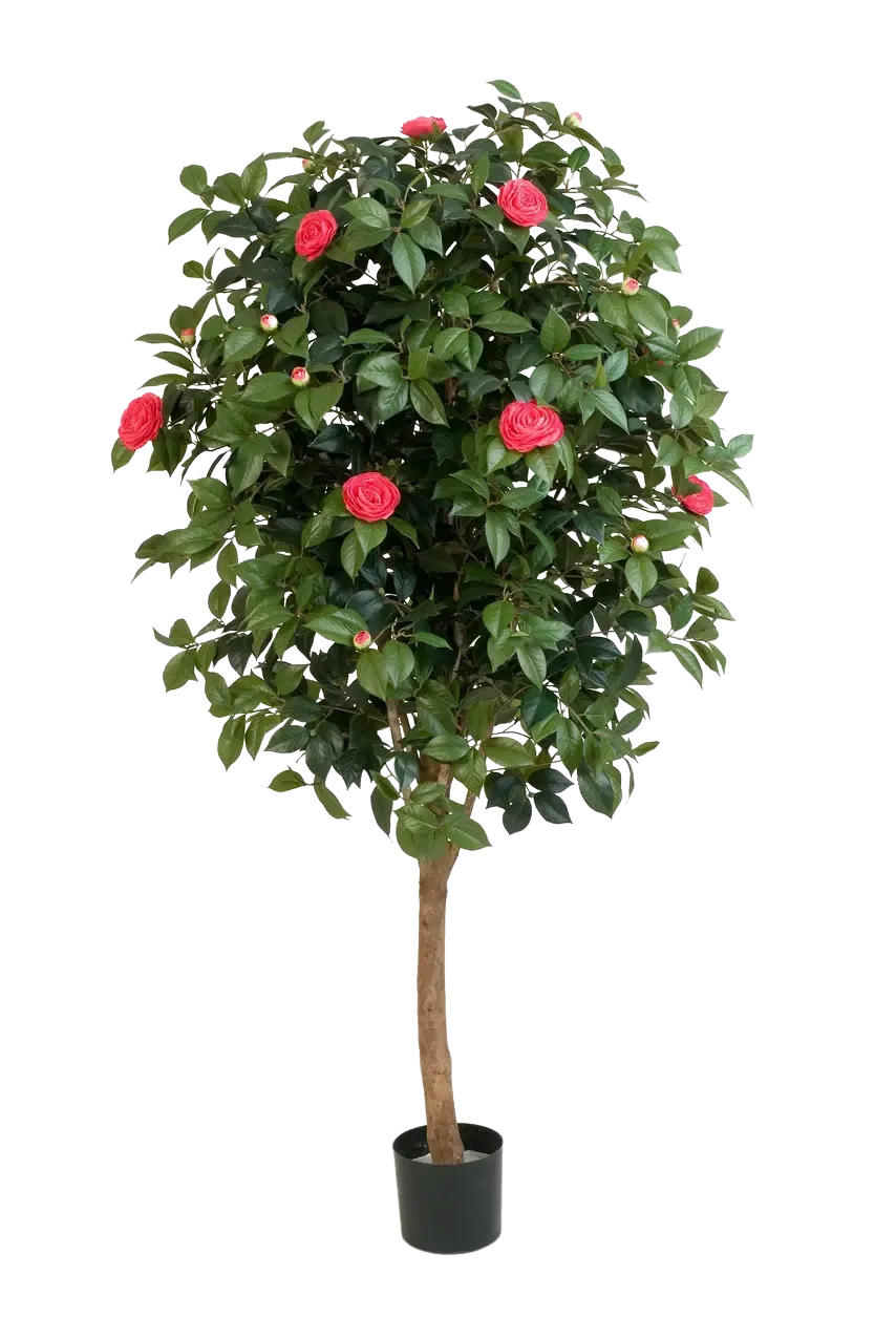 KUNSTBAUM Künstlicher Kamelienbaum - Philina 170 cm - Grün, Kunststoff (170cm) - aplanta