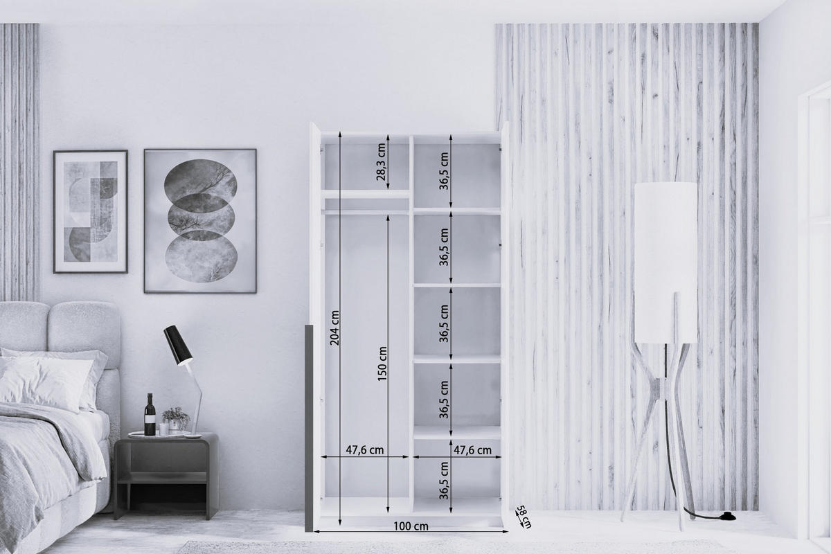 DREHTÜRENSCHRANK THALIA 100/204/58cm 2-türig mit Spiegel Weiß - Weiß, Holzwerkstoff (100/204/58cm) - MASSENO