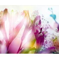 FOTOTAPETE Blumen 375 x 270 cm - Pink, Papier (375/270cm) - Sanders & Sanders