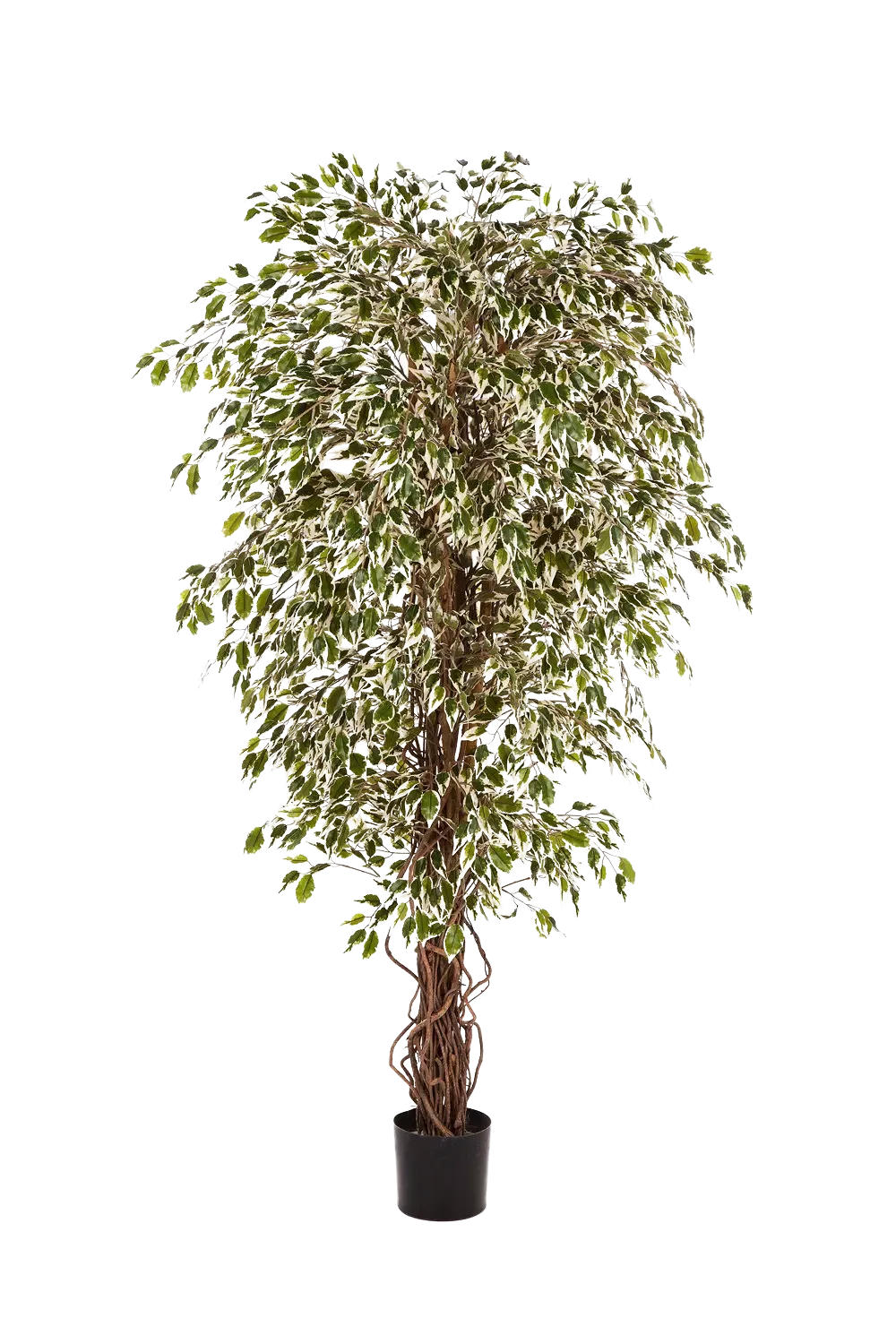 KUNSTBAUM Künstlicher Ficus- Jessica 210 cm - Multicolor, Kunststoff (210cm) - aplanta
