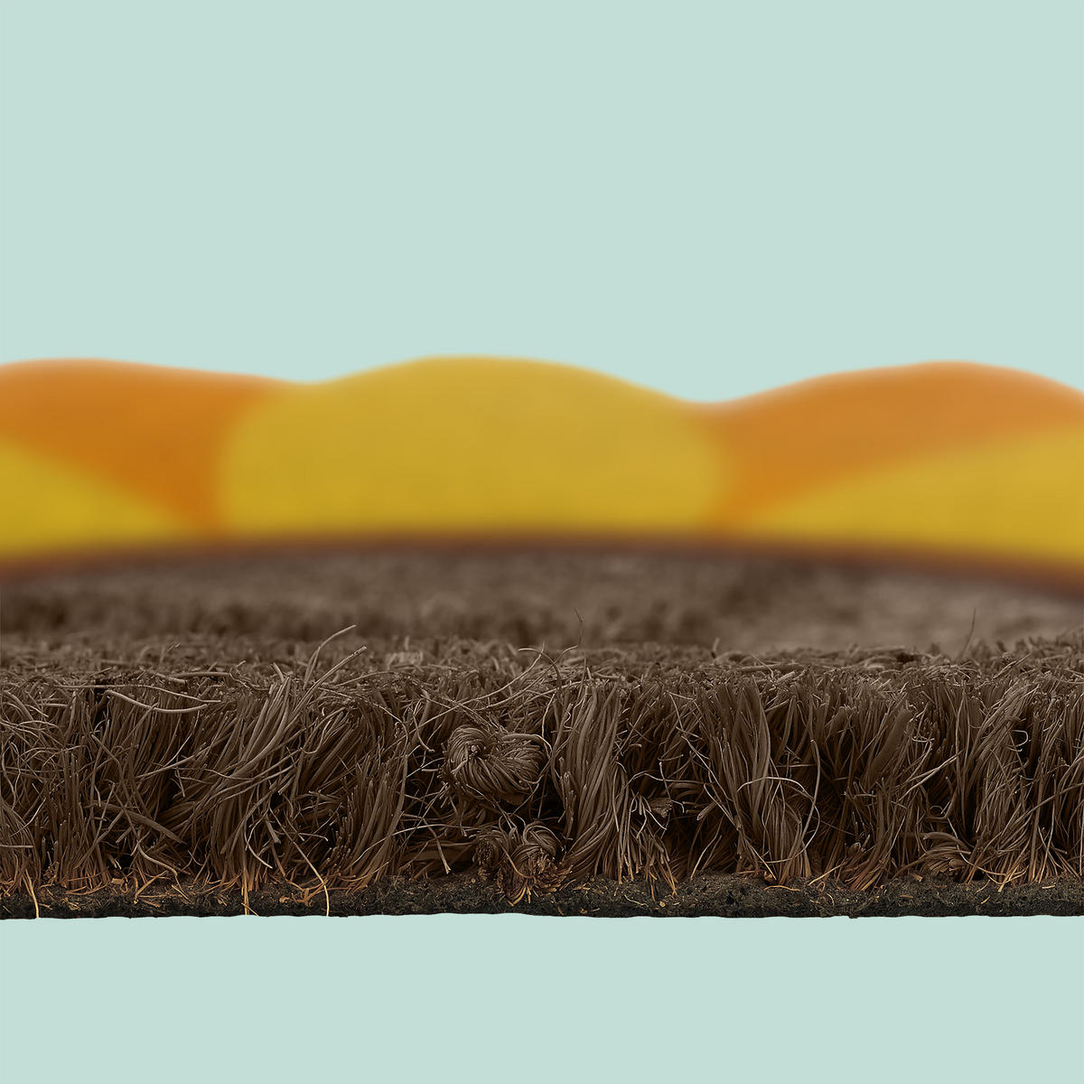 FUSSMATTE - Multicolor, Kunststoff/Textil (80/50cm) - Relaxdays