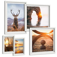 BILDER SET 5er Set - 50x50 cm & 20x30 cm & 40x60 cm Weißer Rahmen - Blätter des Weißen Tigerwasserfalls - Weiß, Kunststoff (40/60cm) - TULUP
