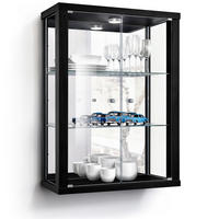 HÄNGEVITRINE 25/60/80 cm mit Spiegel, LED & 2 höhenverstellbaren Glasböden - Transparent/Silberfarben, Glas/Holzwerkstoff (60/80/25cm) - K-Möbel