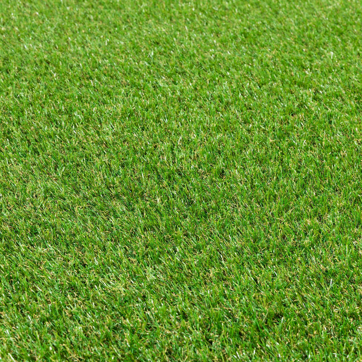 RASENTEPPICH Grün 100/100 cm Stirling - Grün, Kunststoff (100/200cm) - Steffensmeier
