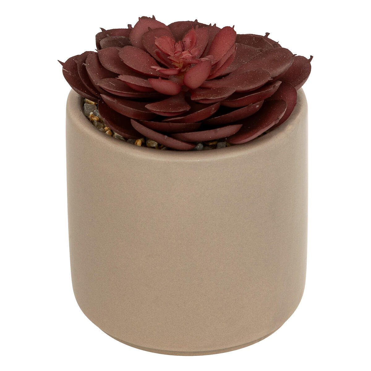 KÜNSTLICHER SUKKULENT Nils 12 cm - Taupe, Keramik (12cm) - Atmosphera Createur d´interieur