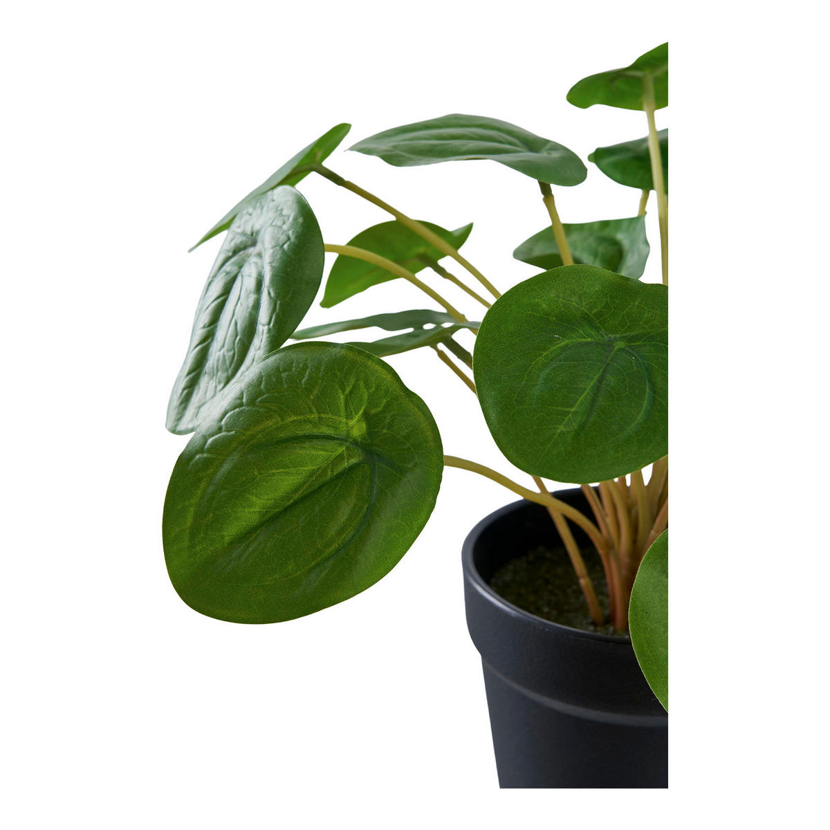 PELIA PE-Kunststoff Grün - Grün, Kunststoff (28cm) - tinkaro