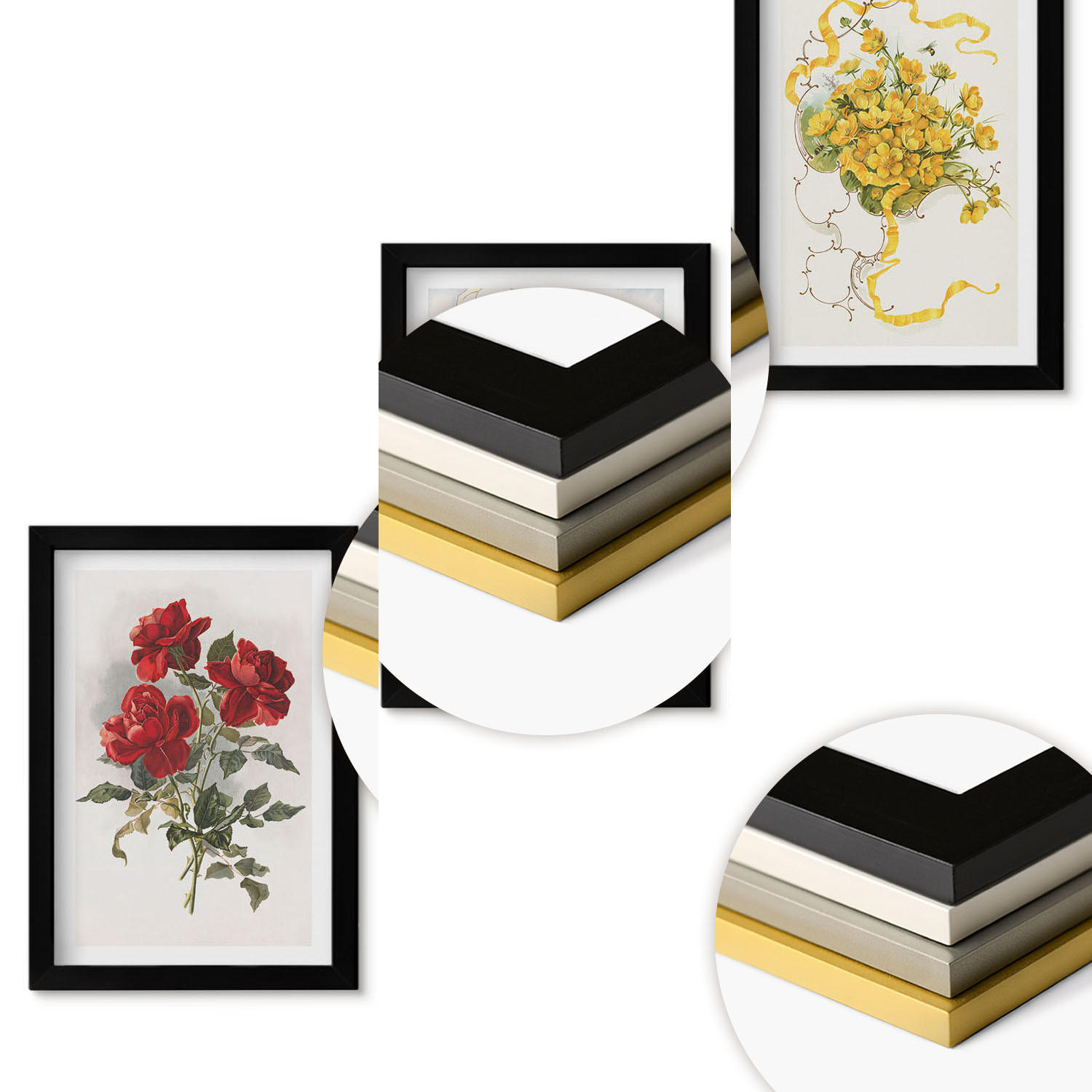 WANDBILDER 3er-Set - 20x30 cm Schwarzer Rahmen - Rosen rot-weiße Form - Schwarz, Kunststoff (20/30cm) - ArtPrintCave