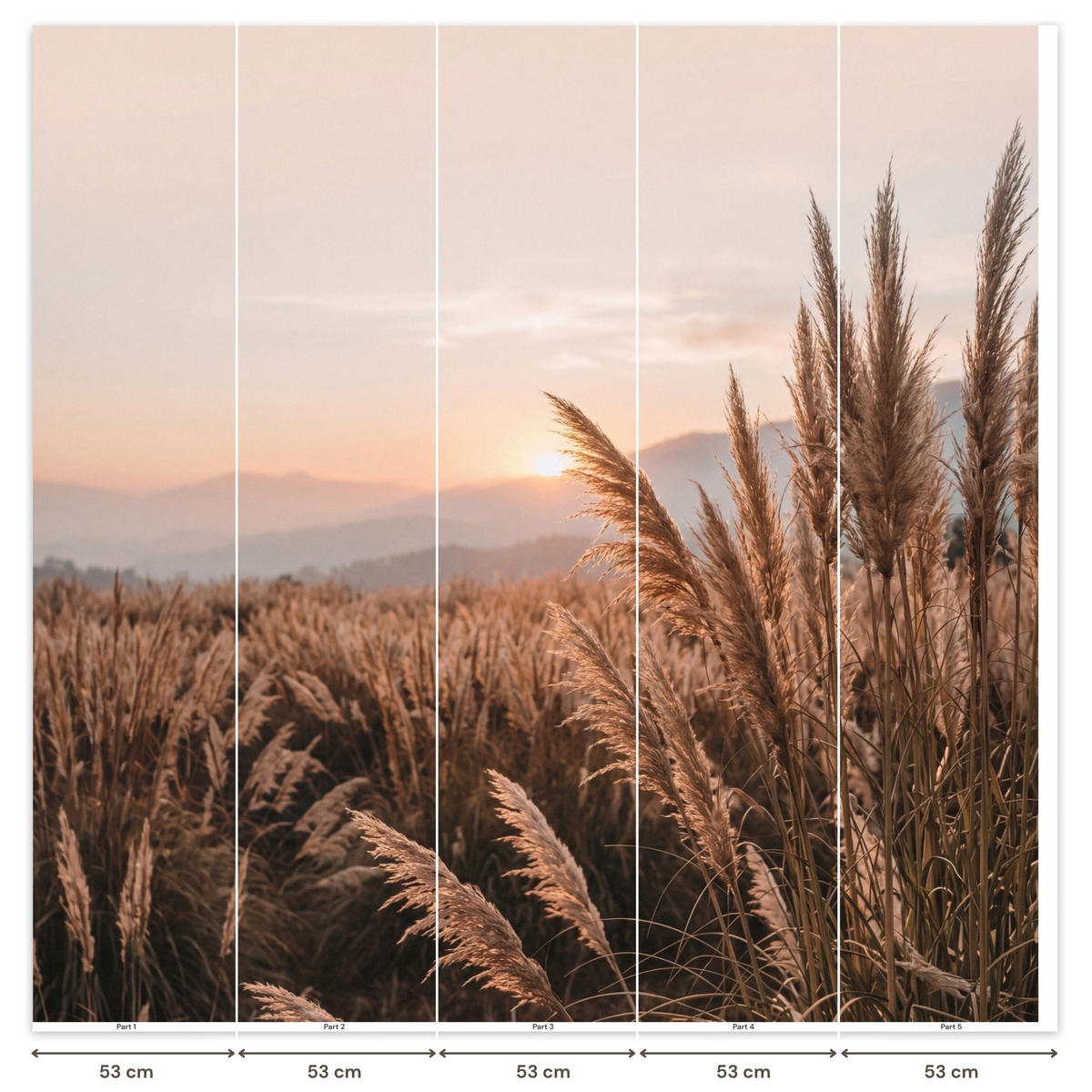 TAPETE - Gras - Feld - Sonne - Natur - 260x280 cm - Sandfarben, Papier (260/280cm) - OnlyWow
