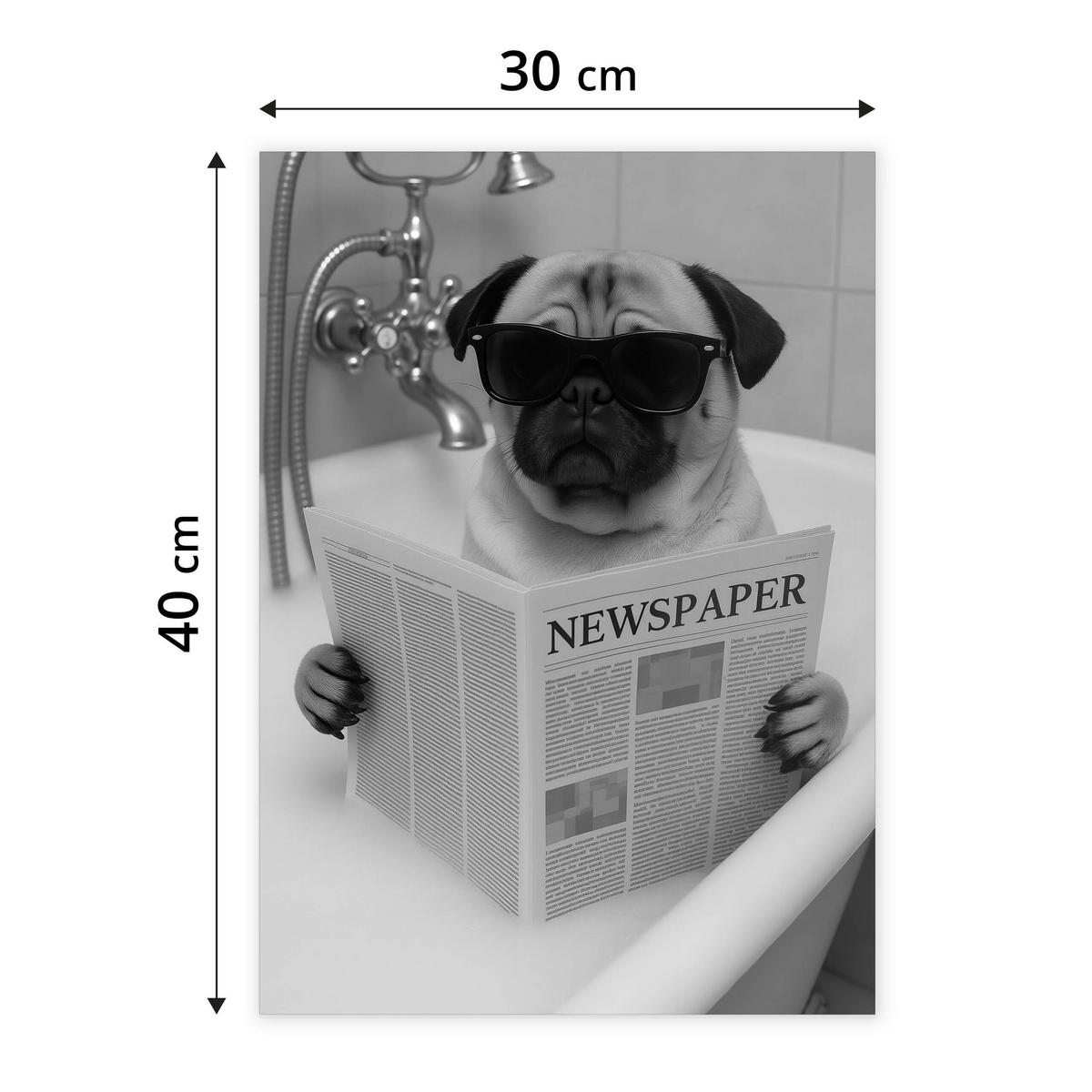 POSTER Badezimmer WC Mops Badewanne Zeitung Abstraktion 30x40cm - Schwarz/Weiß, Papier (30/40/1cm) - Muralo
