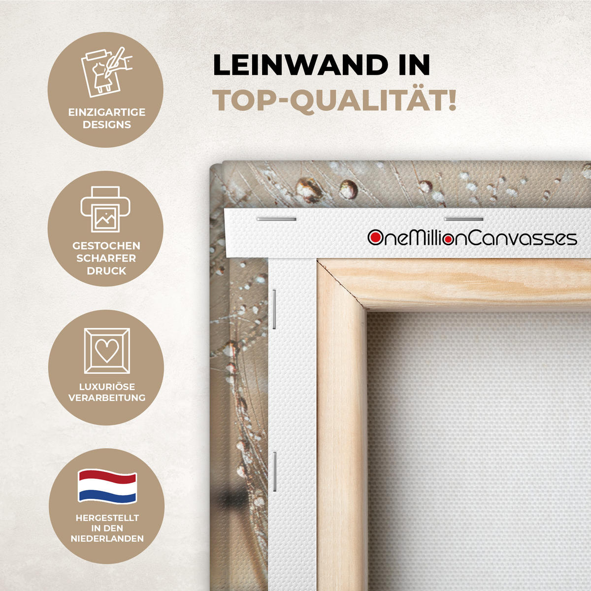 LEINWANDBILD Löwenzahn - Abstrakt - Natur - Beige Gemälde 60x40 cm - Braun, Textil (60/40cm) - MuchoWow