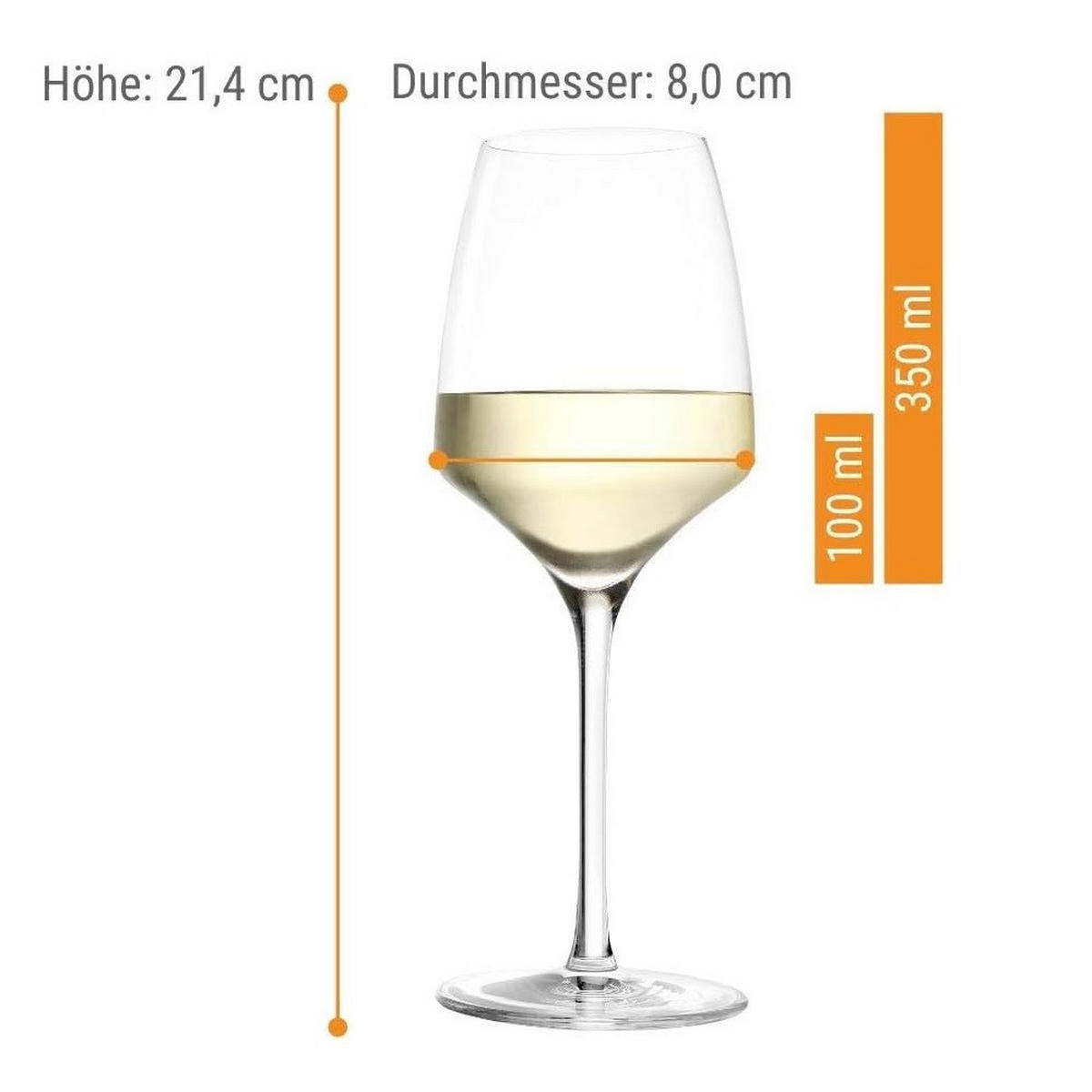 WEISSWEINKELCH Experience /Champagnerkelch Set 12 tlg - Transparent, Glas (0.45L) - Stölzle