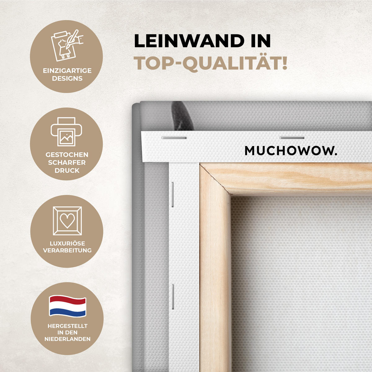 OBRAZ NA PLÁTNĚ Kráva - Skotský horal - Černá - Bílá - Zvíře - Příroda - Divoká zvěř 150x100 cm - černá, textil (150/100cm) - MuchoWow