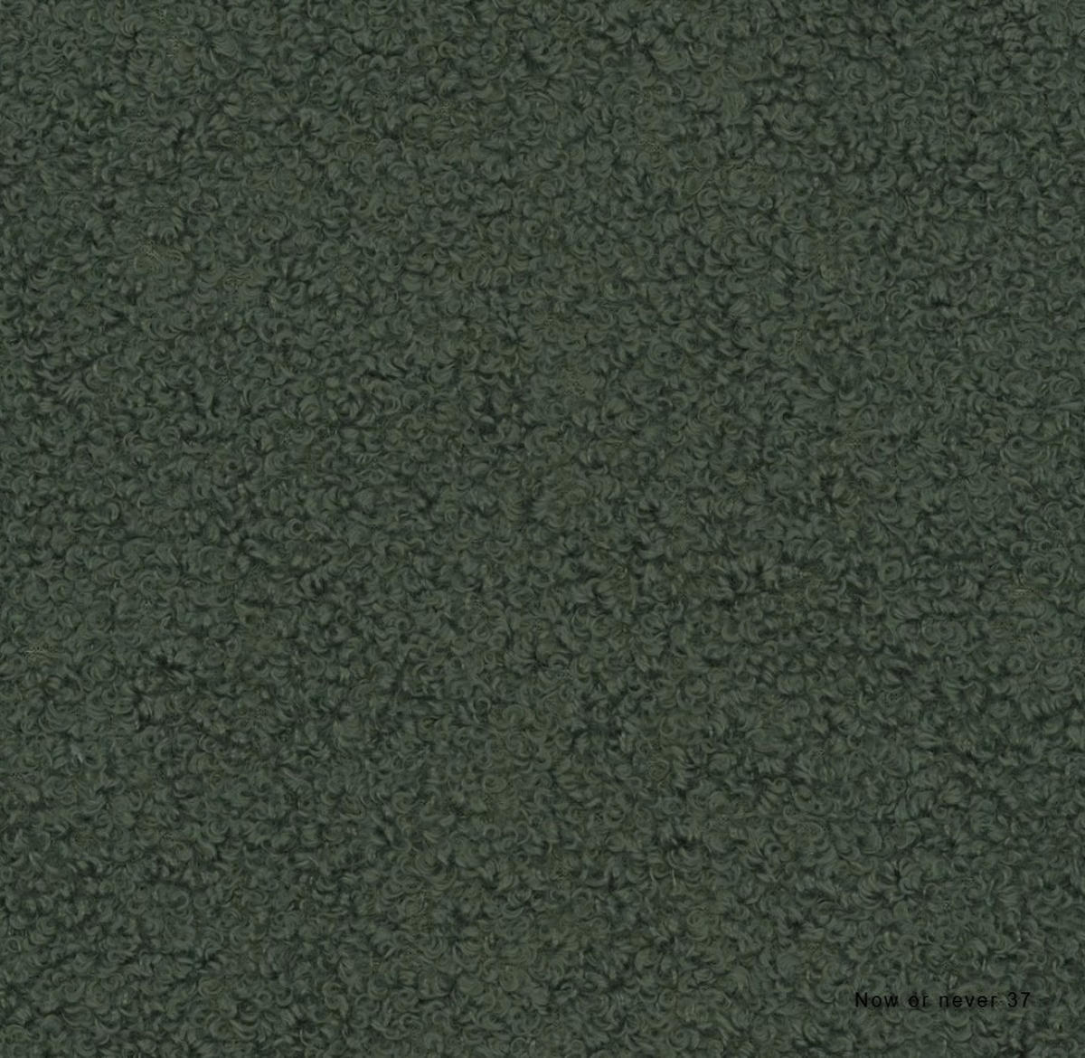 ECKSOFA ILUSIO L 250x205cm, Schlaffunktion, Dunkelgrün, Links - Dunkelgrün, Holz/Textil (205/248cm) - DomoHome