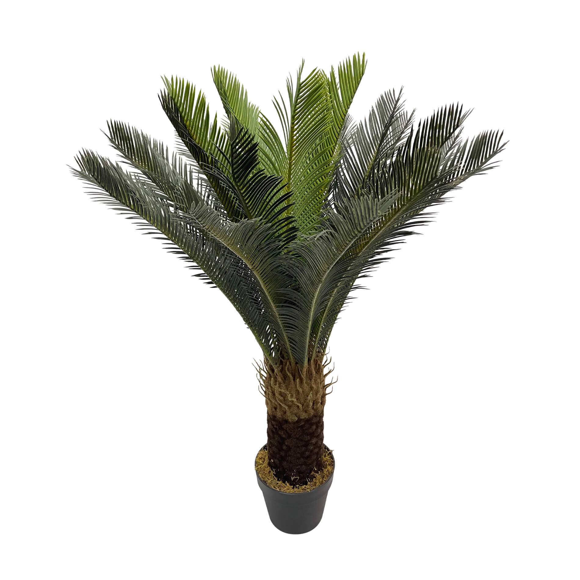 KUNSTPFLANZE Cycas 90 cm - Grün, Kunststoff (90cm)