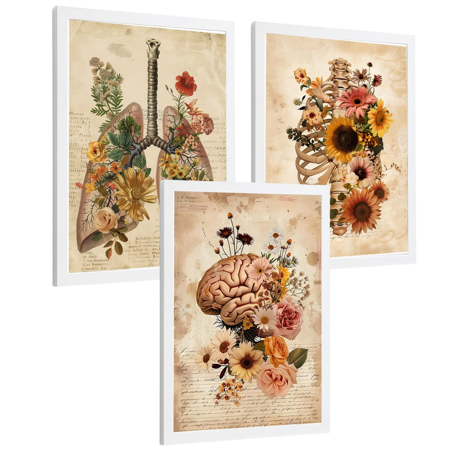 POSTER Set aus 3 Anatomie Mensch Vintage Florale Drucke und Wandbilder mit Lungen Brustkorb und Gehirn Botanischer Antiker Stil Größe Weißer Rahmen A3 - Weiß, Papier (29.7/42/3cm) - Nacnic