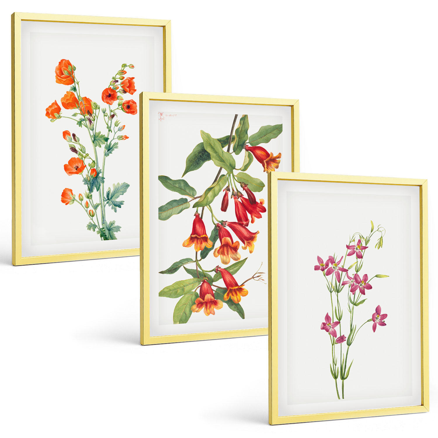 BILDER SET 3er Set - 40x60 cm Goldrahmen - Vintage-Retro-Blumenmalerei - Goldfarben, Kunststoff (40/60cm) - TULUP