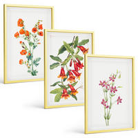 BILDER SET 3er Set - 40x60 cm Goldrahmen - Vintage-Retro-Blumenmalerei - Goldfarben, Kunststoff (40/60cm) - TULUP