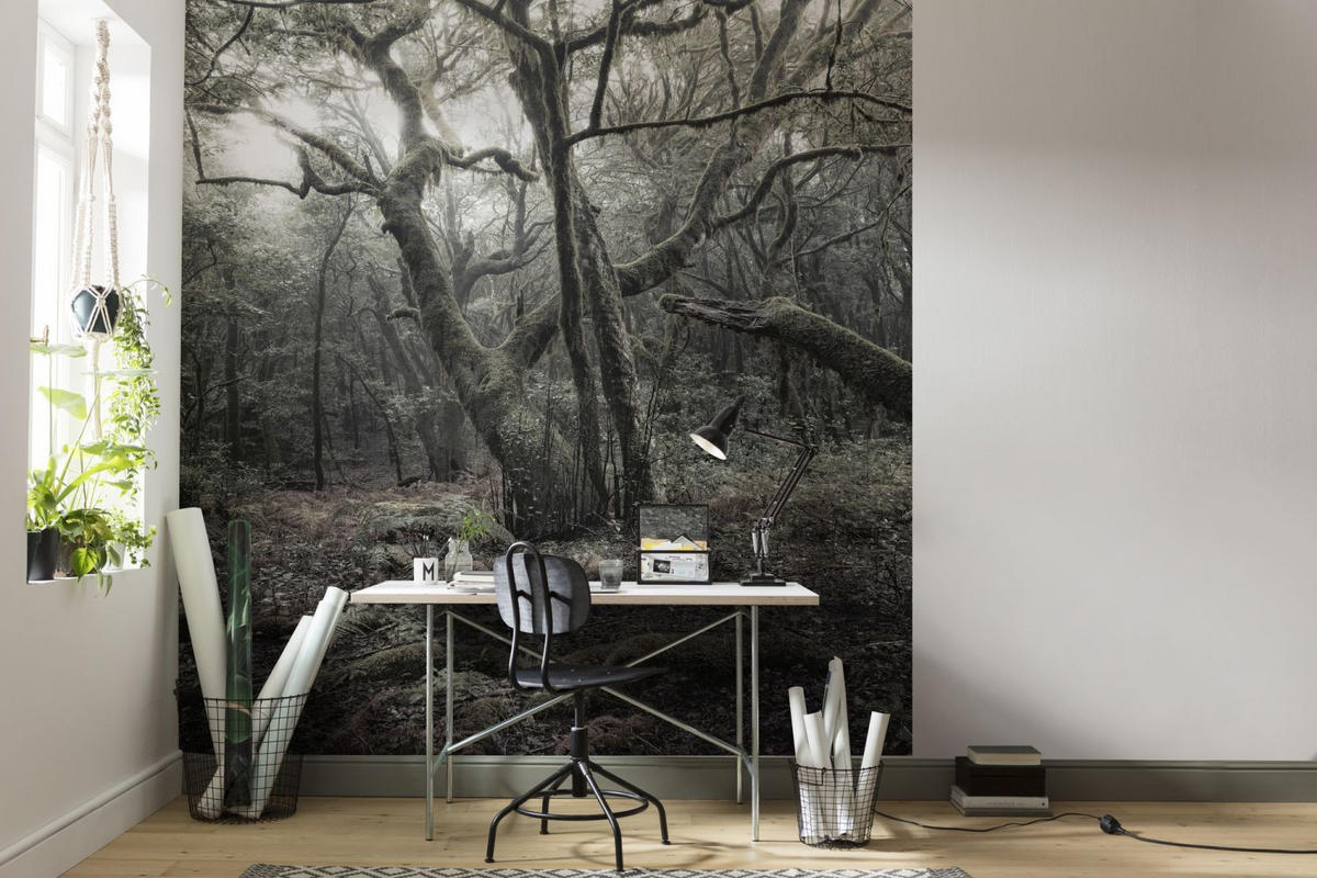 FOTOTAPETE Wald 250 x 280 cm - Grau, Papier (250/280cm) - Sanders & Sanders
