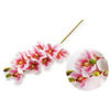 KUNSTBLUME Viridis Orchidee Rosa 74/74/74 cm Kunstoff - Hellrosa, Kunststoff (74cm) - Mondex