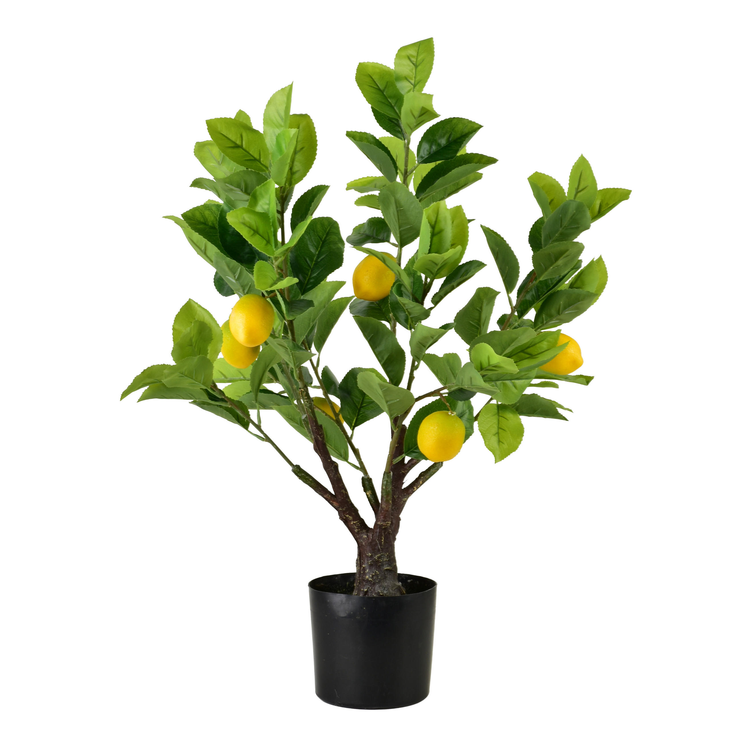 KUNSTBLUME Viridis Gelb 14x11x65 cm Kunststoff - Gelb, Kunststoff (65cm) - Mondex