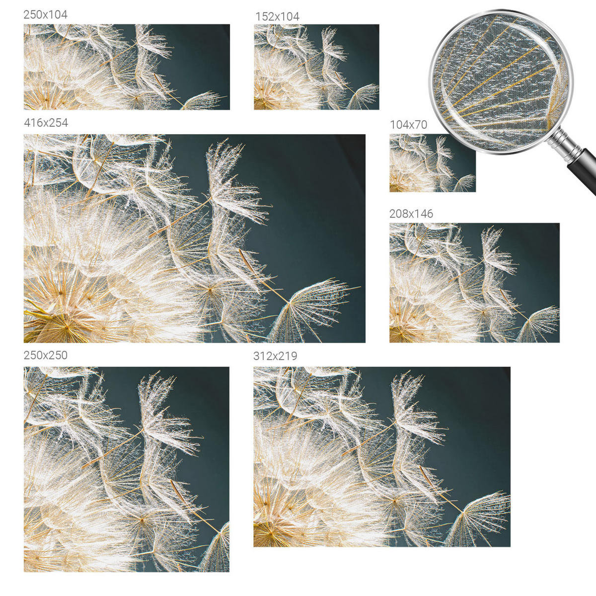 FOTOTAPETE 104x70 cm - Löwenzahn der Leichtigkeit - Weiß, Textil (104/70cm) - Wallfluent