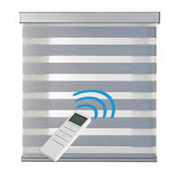 DOPPELROLLO Motorisiertes Silber 160x250 cm - Silberfarben, Kunststoff (160/250cm) - STORESDECO