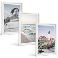 BILDER SET 3er Set - 40x60 cm Weißer Rahmen - Pferde, Strand, Leuchtturm, Wellen - Weiß, Kunststoff (40/60cm) - TULUP
