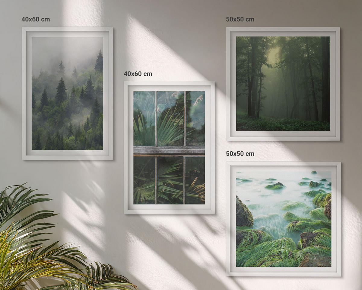 BILDER SET 4er Set - 50x50 cm & 40x60 cm Weißer Rahmen - Waldnebel, Fluss, Gewächshauspflanzen - Weiß, Kunststoff (50/50cm) - TULUP