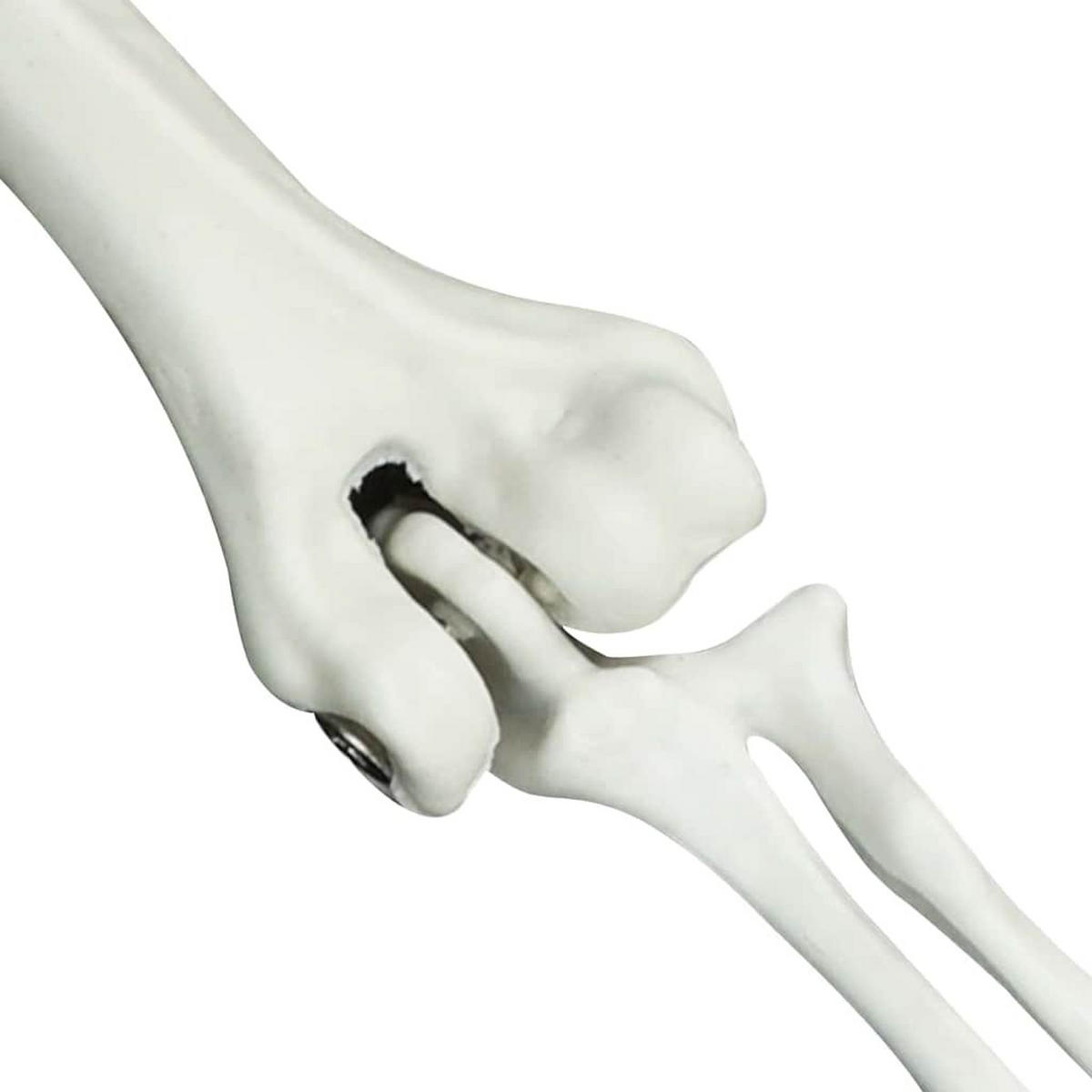 HALLOWEEN-DEKO 45.5/13 Cm Weiss Polypropylen - Weiß, Kunststoff (13/10/45.5cm) - vidaXL
