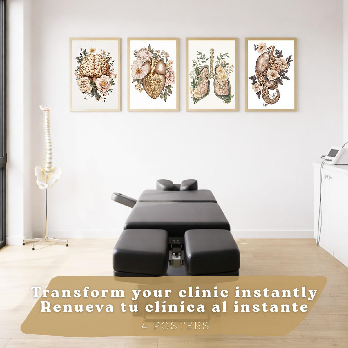POSTER Set aus 4 Vintage Anatomie und Wandbilder mit Rippen Wirbelsäule Lungen Luftröhre Bronchien Gehirn und Schädel Größe Rahmenlos A3 - Klar, Papier (29.7/42/3cm) - Nacnic