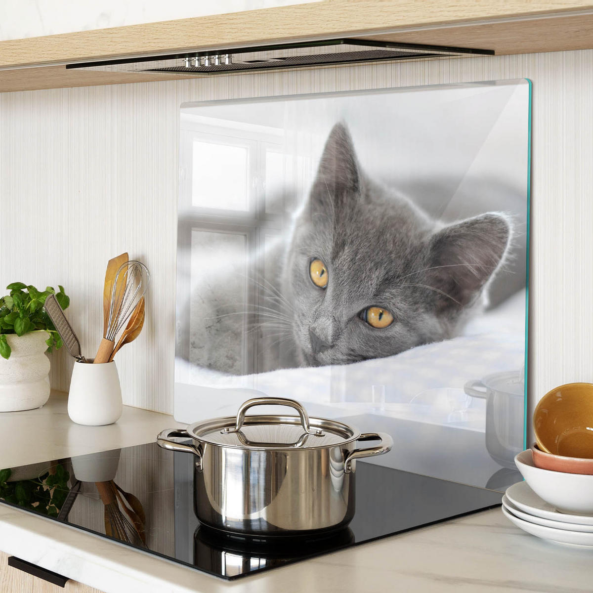 GLASPLATTE 60x52 cm Graue Katze - Grau, Glas (60/52cm) - TULUP