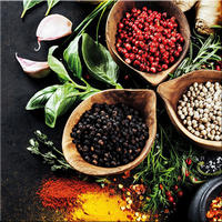 GLASBILD 50x50 cm Küche Gewürze Kräuter bunt - Rot/Schwarz, Glas (50/50cm) - artissimo