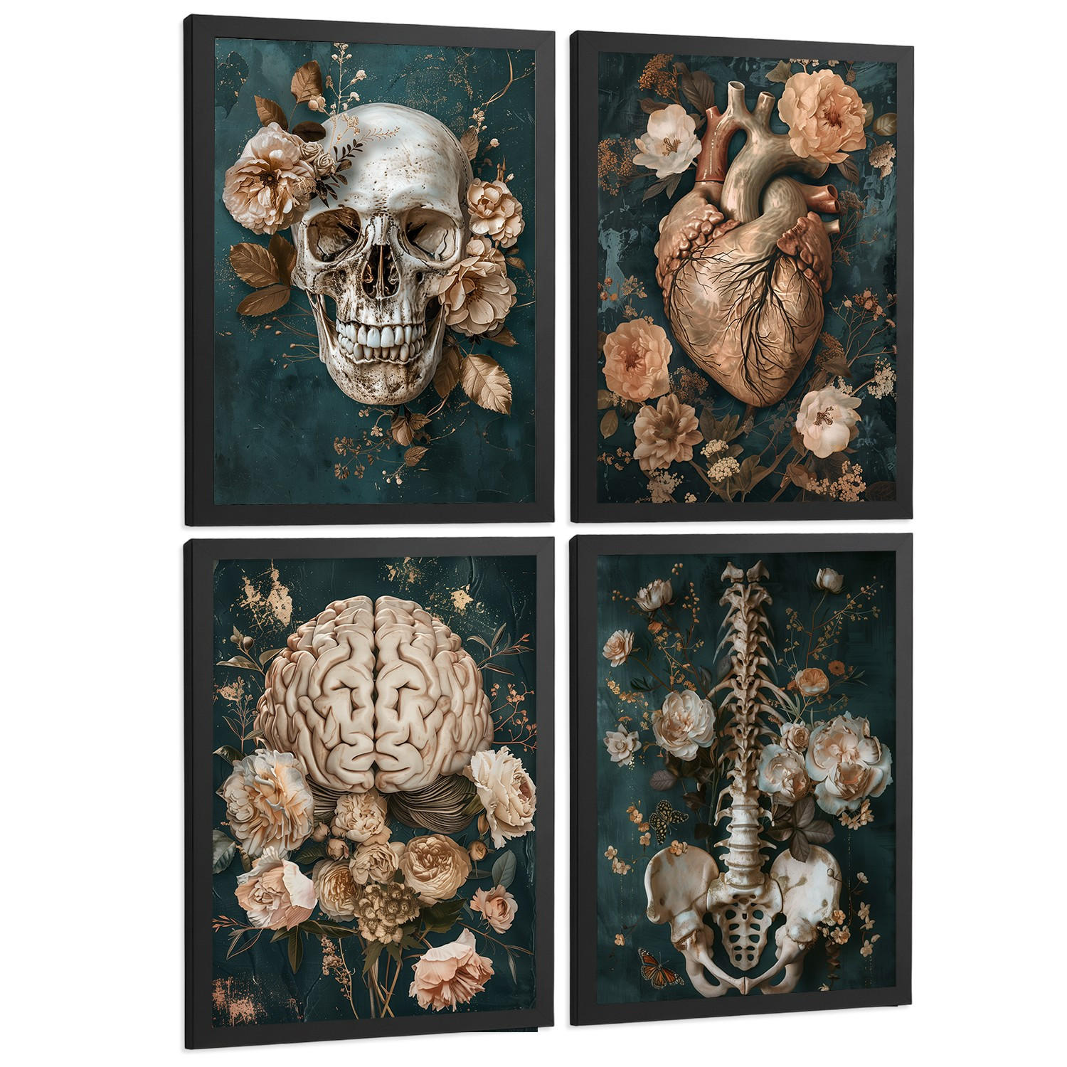 POSTER Set aus 4 Anatomie Drucke und mit Schädel Herz Gehirn Wirbelsäule Skelett Becken Klassisches Florales Design Größe Schwarzer Rahmen A4 - Schwarz, Papier (21/29.7/3cm) - Nacnic