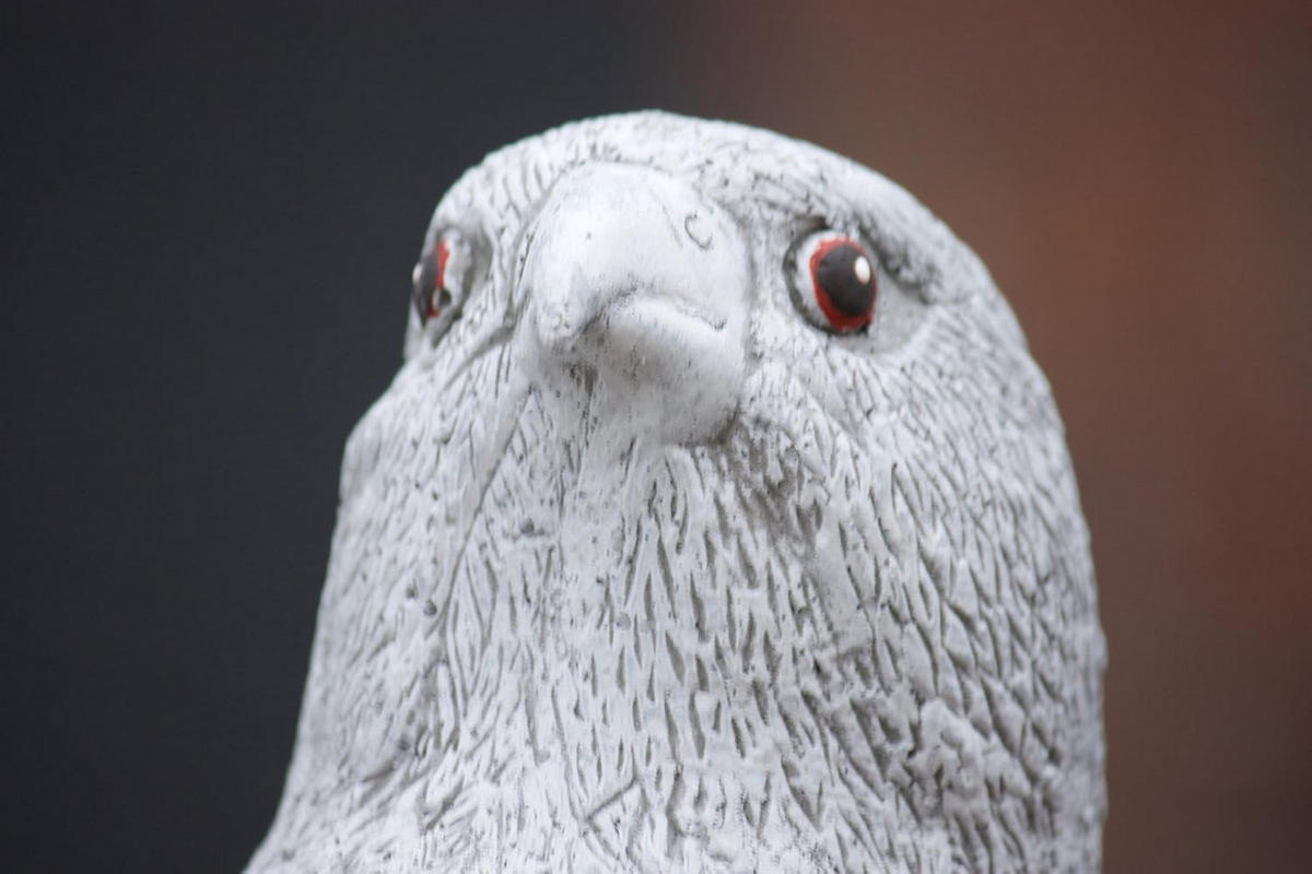 STEINFIGUR Falke, frostfest, massiver Steinguss - Grau, Stein (22/40/22cm) - stoneandstyle