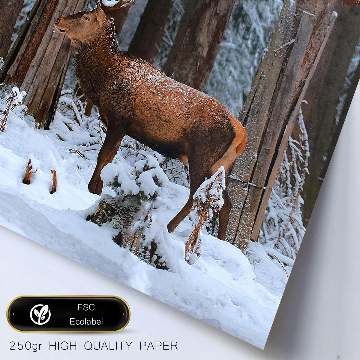 POSTER Set Mit 6 Gefrorener See A3 & A4 Rahmenlos - Klar, Papier (29/3cm) - Nacnic