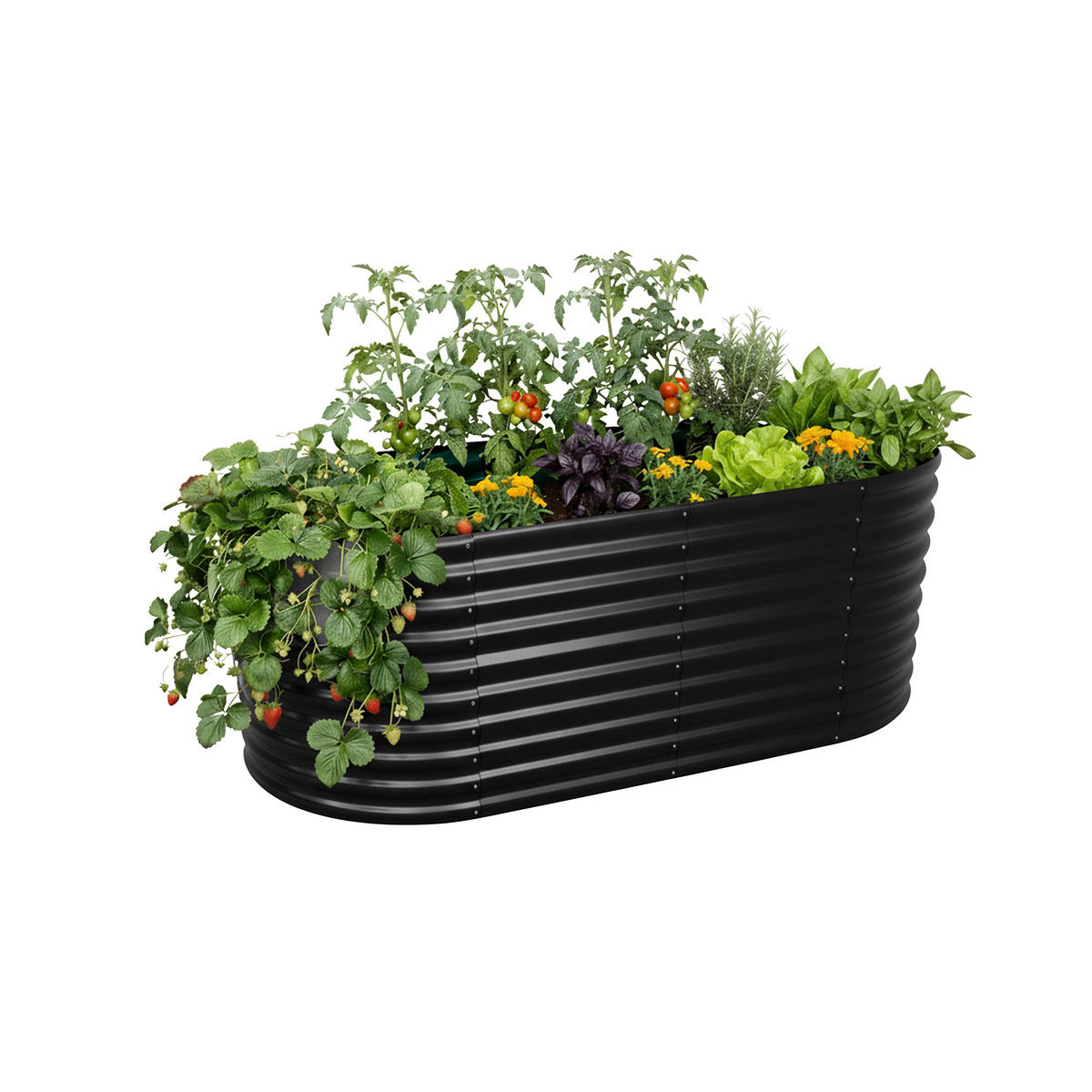 HOCHBEET - Schwarz, Metall (80/160/80cm) - Relaxdays