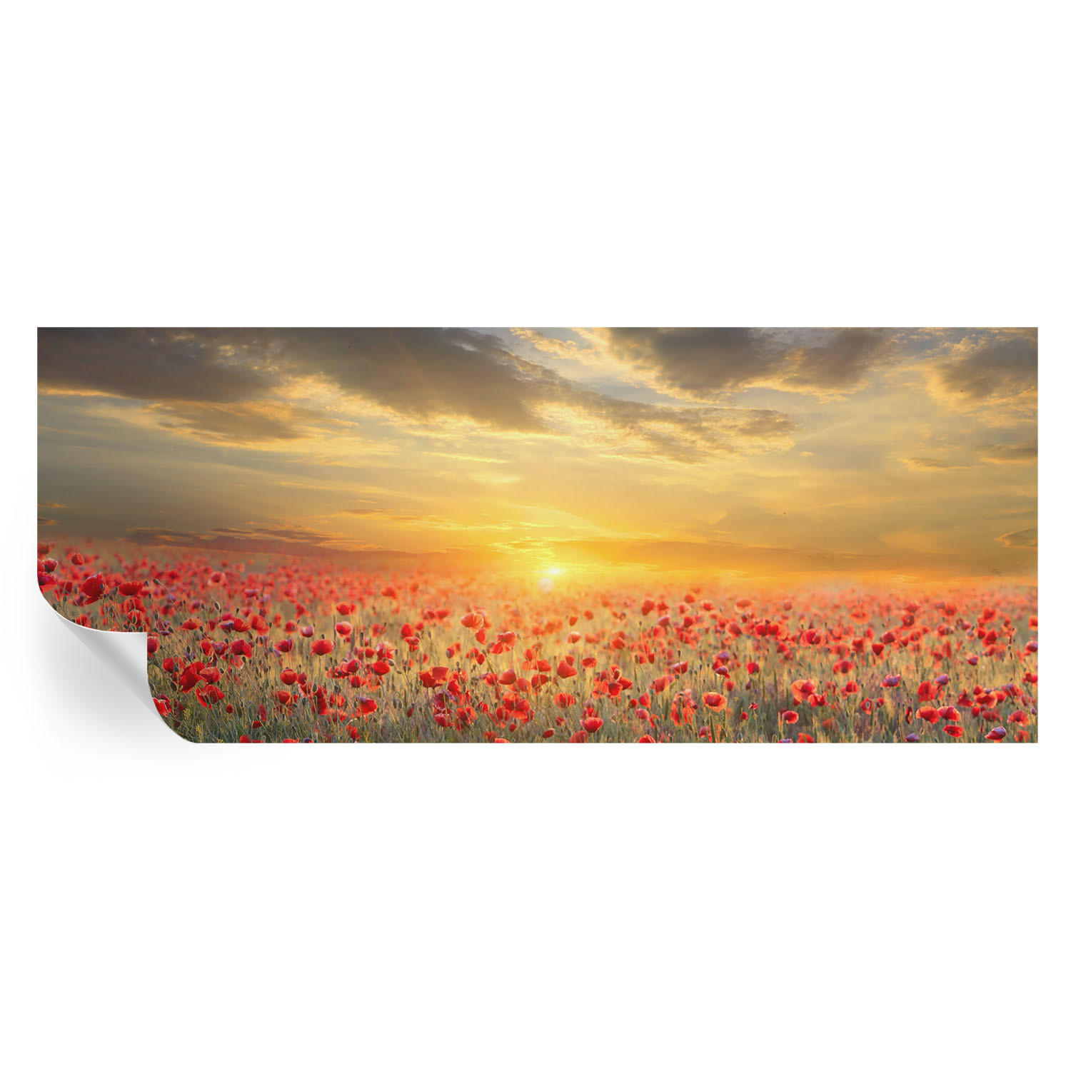 Wallfluent Fototapete Rot 250x104 cm