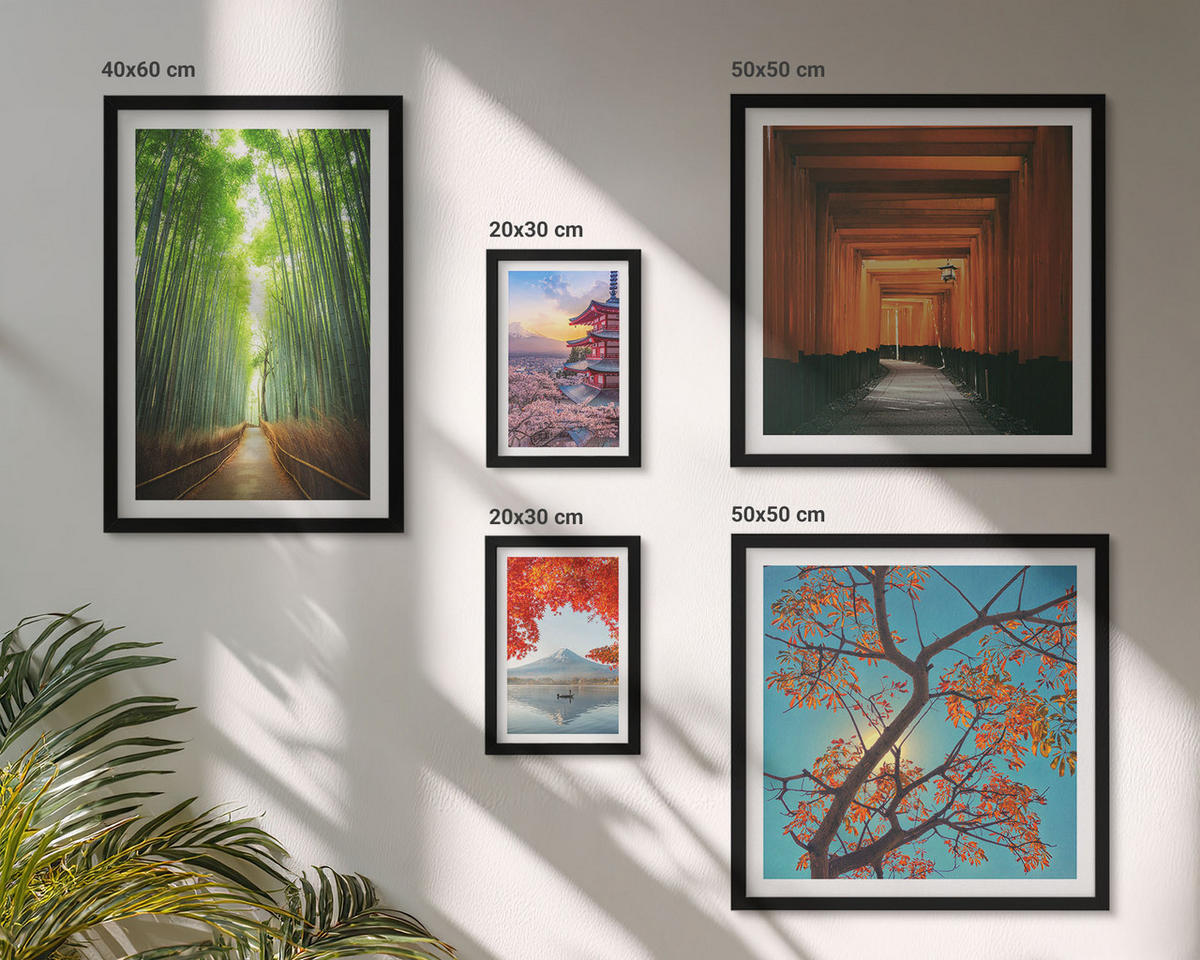 WANDBILDER 5er-Set - 50x50 cm & 20x30 cm & 40x60 cm Schwarzer Rahmen - Meerblick, farbenfrohe Häuser - Schwarz, Kunststoff (40/60cm) - ArtPrintCave