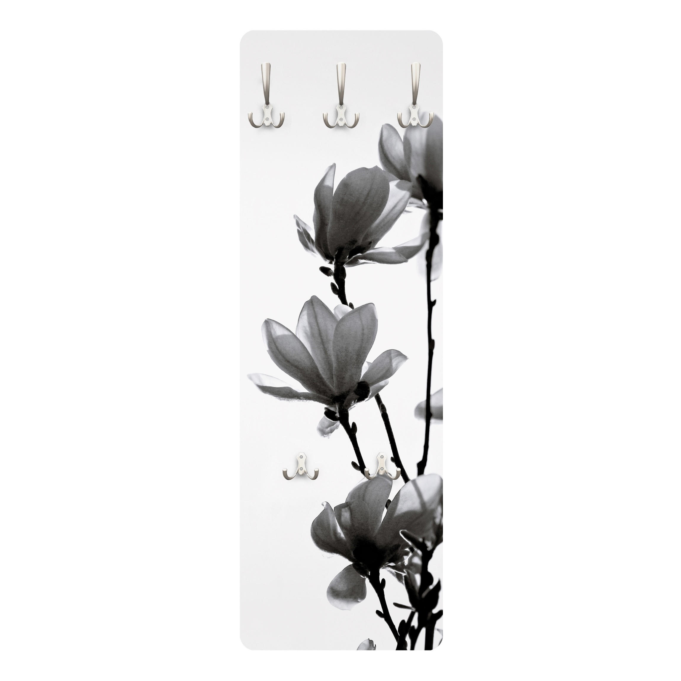 WANDGARDEROBE - Frühlingsbote Magnolie Schwarz, Weiß 34/105 cm - Schwarz, Holzwerkstoff (34/105/1.6cm) - Bilderwelten