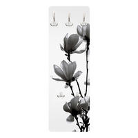 WANDGARDEROBE - Frühlingsbote Magnolie Schwarz, Weiß 34/105 cm - Schwarz, Holzwerkstoff (34/105/1.6cm) - Bilderwelten