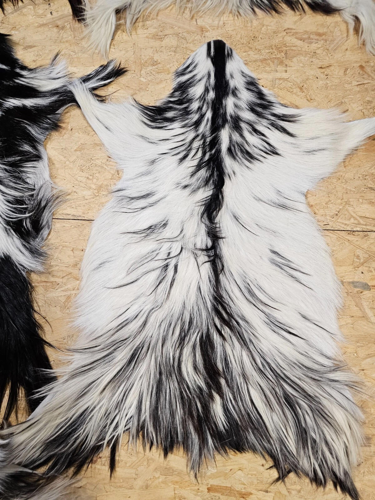 FELL Ziegenfell Schwarz-Weiß Naturfarben Teppich ca. 90 cm 1.Wahl - Schwarz/Weiß, Fell (50/90cm) - Provellus