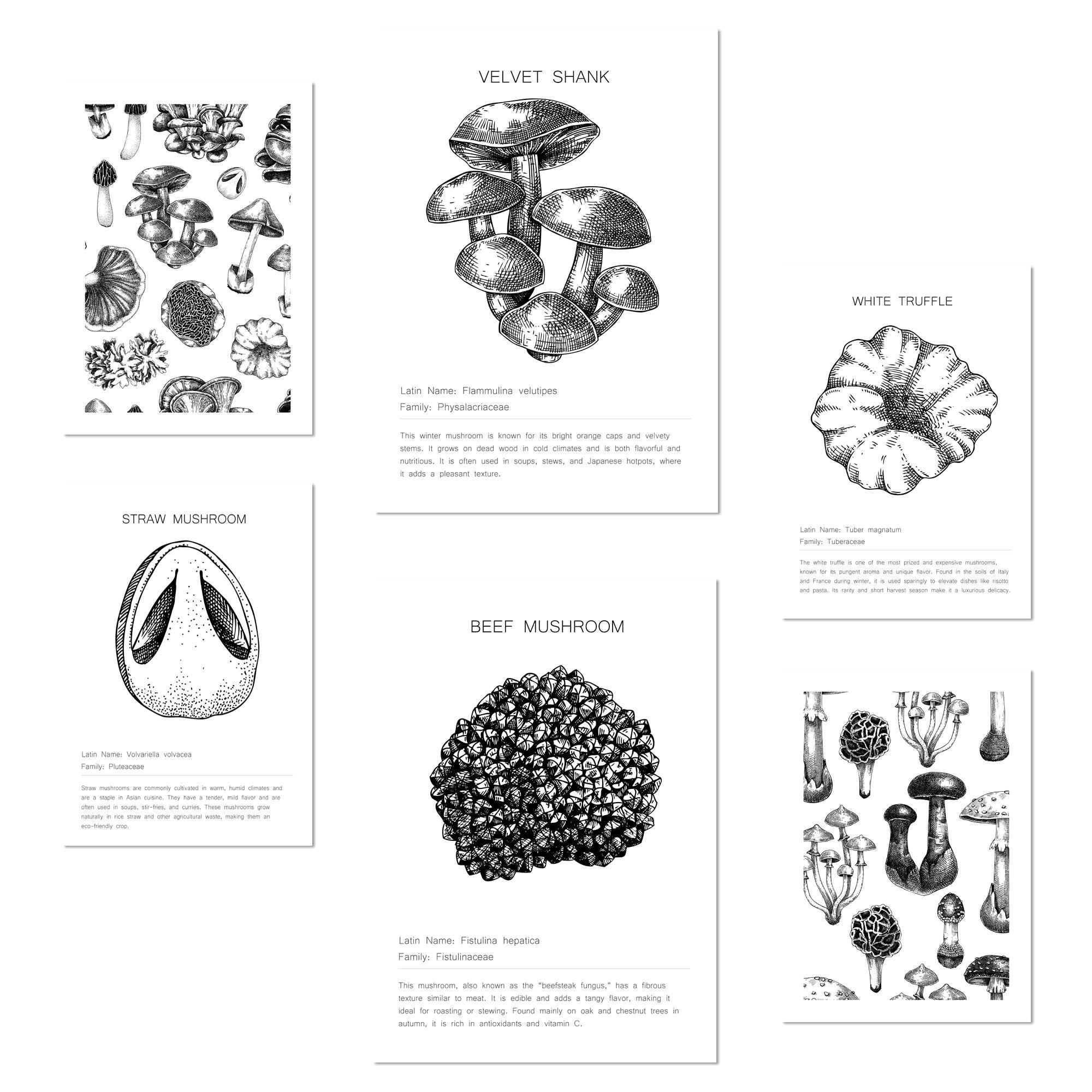 Nacnic Poster Klar 29x3 cm