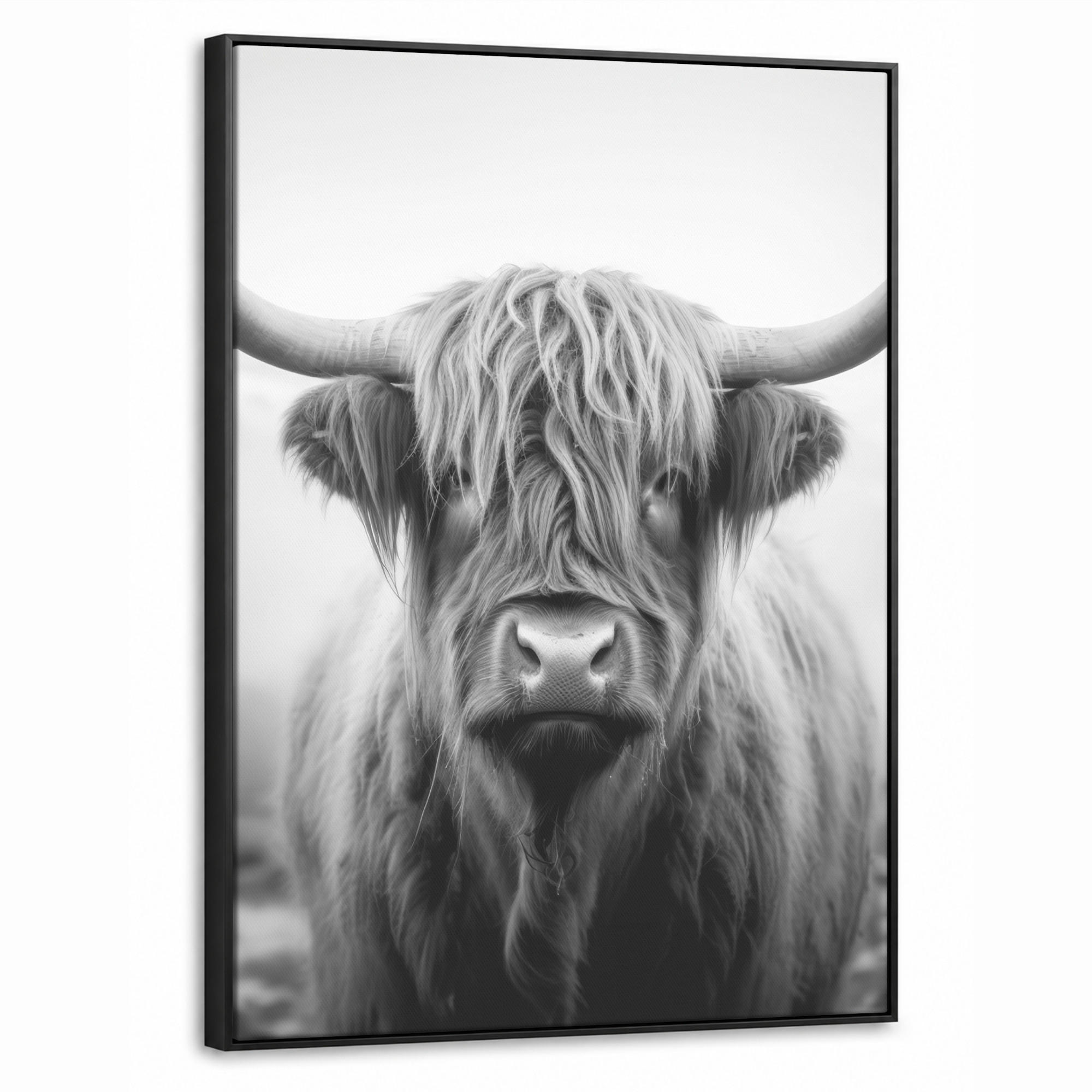 LEINWAND Bilder mit Rahmen - Schottischer Highlander - Nebel - Schwarz - Weiß - 70x100 - Grau, Textil (70/100cm) - MuchoWow